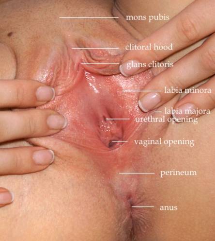 Men criticize or tease their sexual partners that they have a huge vagina Men criticize or tease their sexual partners that they have a huge vagina