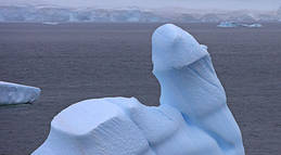 Gigantic penis near Antarctica