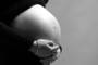 Pregnancy raises a bunch of questions. (Photoxpress)