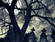 Some experts believe that necrophilia is a very common phenomenon among gravediggers and undertakers. (Photoxpress)