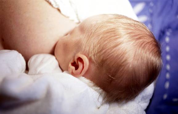Oral contraceptive pills don’t have an adverse effect on fertility. (jlp)
