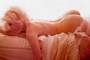 The photographer who took pictures of legendary Marilyn Monroe posing naked in 1962 claims a million dollars in compensation.