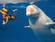 Shiofuki. Don't forget that the Japanese still hunt these wonderful animals. (jlp)