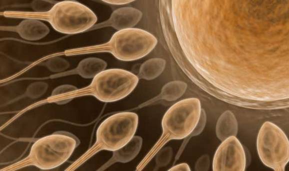 Heated seats are only one of the factors affecting fertility. The ever-growing list also includes stress, cycling, smoking and so on.