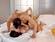 Certain sexual positions allow for deeper penetration.