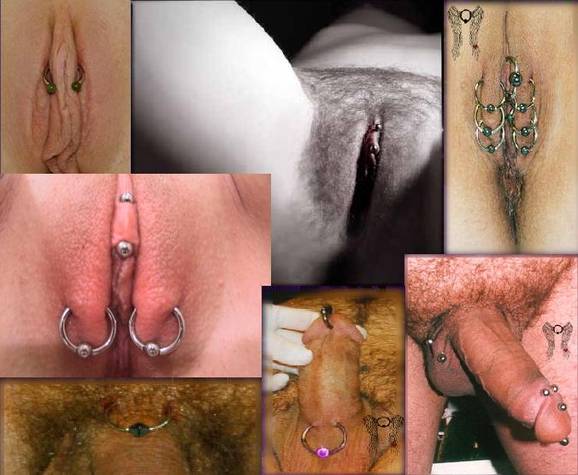 Genital Piercings