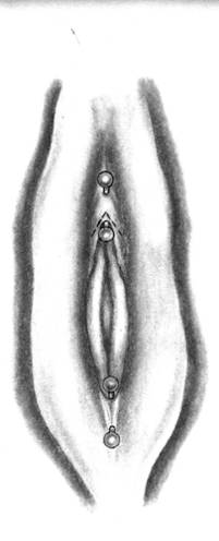 Vulva piercing best sale
