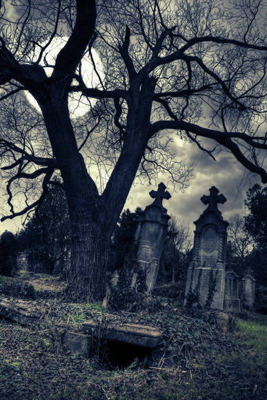 Some experts believe that necrophilia is a very common phenomenon among gravediggers and undertakers. (Photoxpress)