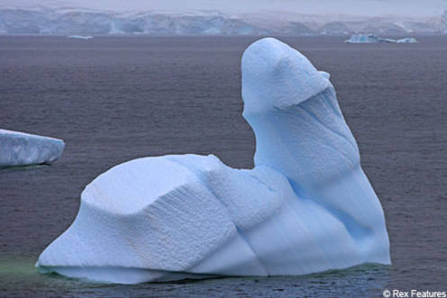 The picture of ice “dick” was taken by photographer Andy Rouse.