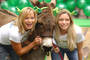 Humans and donkeys had always found common grounds (jlp)