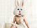 The female Viagra has so far been successfully tested on female rabbits.