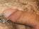 Prince Albert piercing Elayne Angel