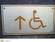 Swiss welfare group is recruiting volunteers to have sexual intercourse with the disabled.
