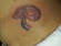 scary tattoos, kidney