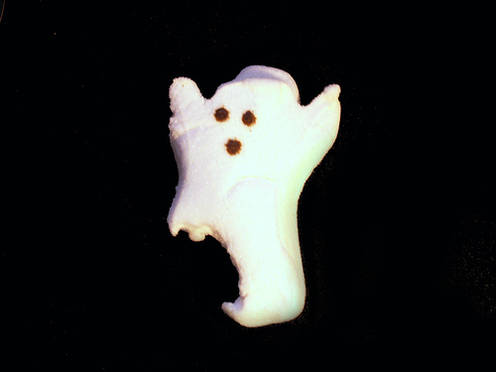 Usually ghosts are supposed to be figments of imagination. This horny ghost however...