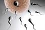 Heated seats affect sperm production. (jlp)