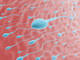 How to Improve Semen Quality and Health?