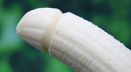 extra large penis