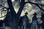 Some experts believe that necrophilia is a very common phenomenon among gravediggers and undertakers. (Photoxpress)